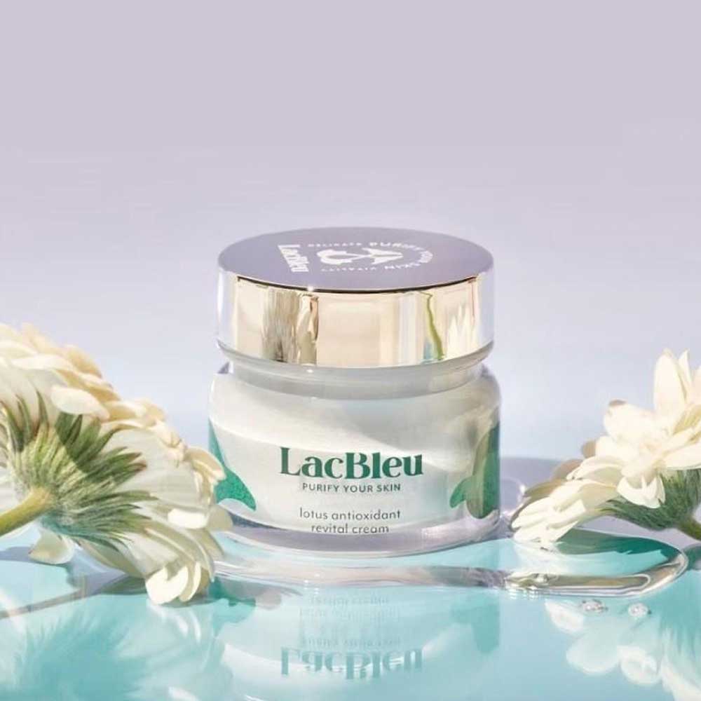 1678669546 thumbnail