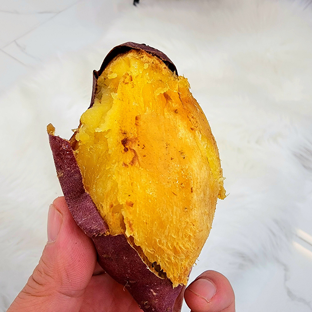 1678696197 thumbnail