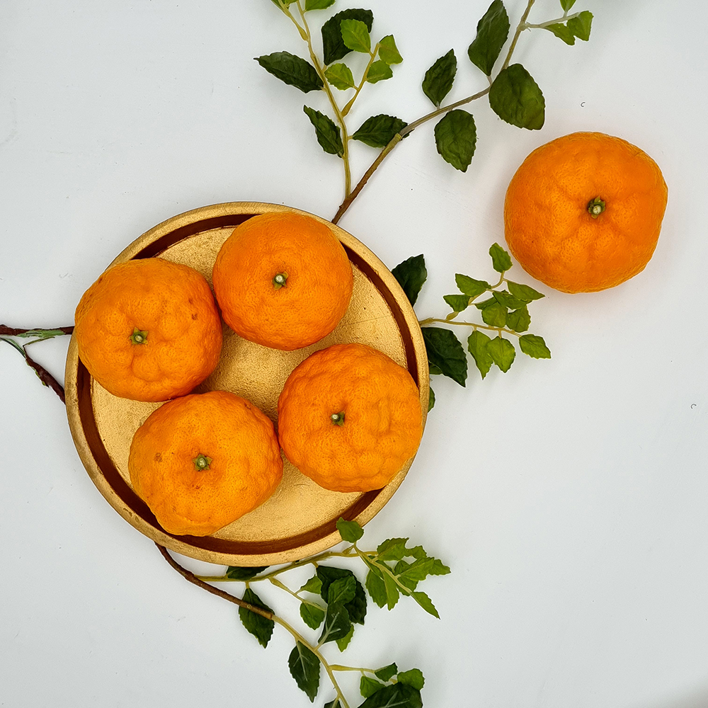 1678850175 thumbnail