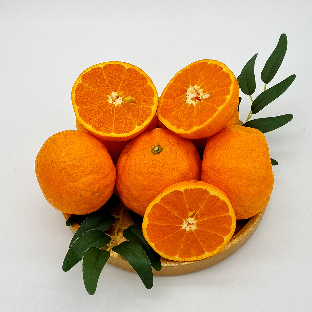 1678850176 thumbnail