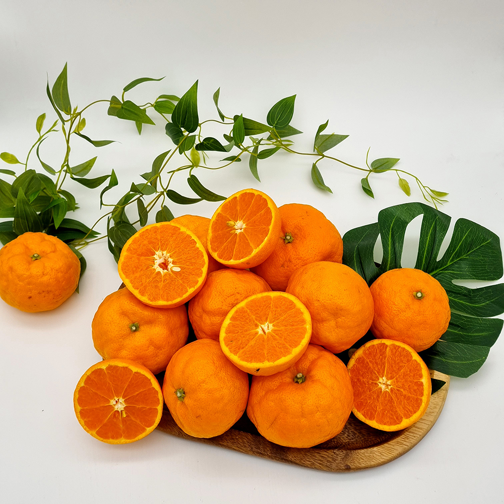 1678850177 thumbnail