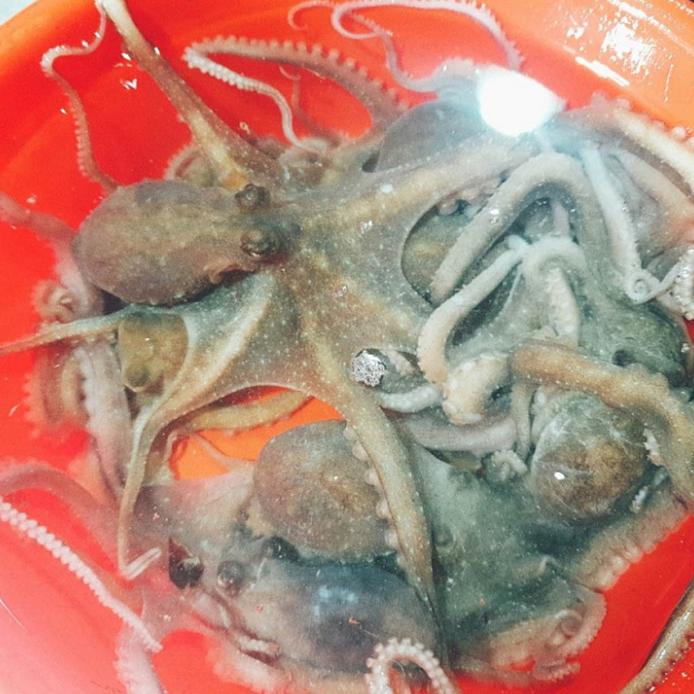 1678855923 thumbnail