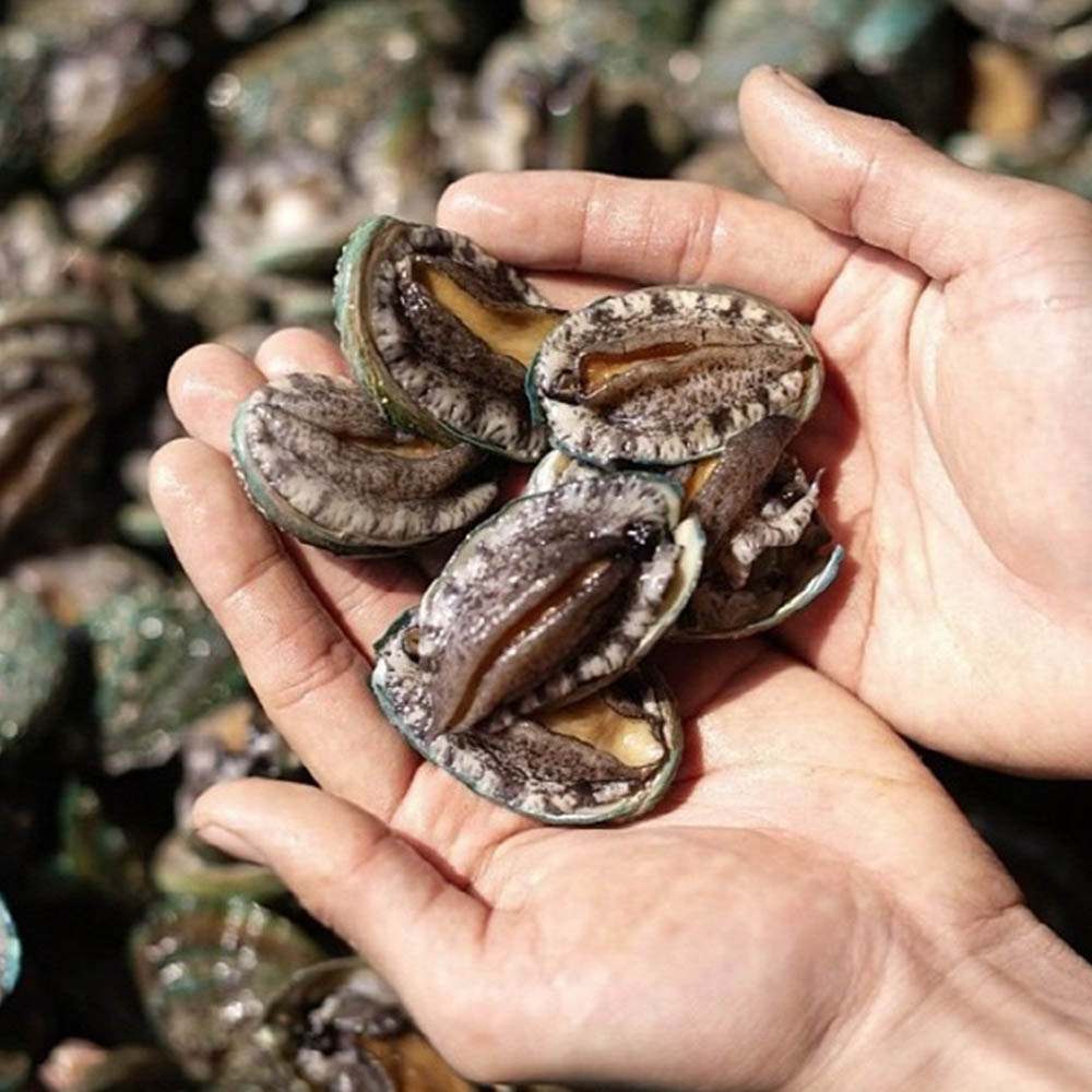 1678855924 thumbnail