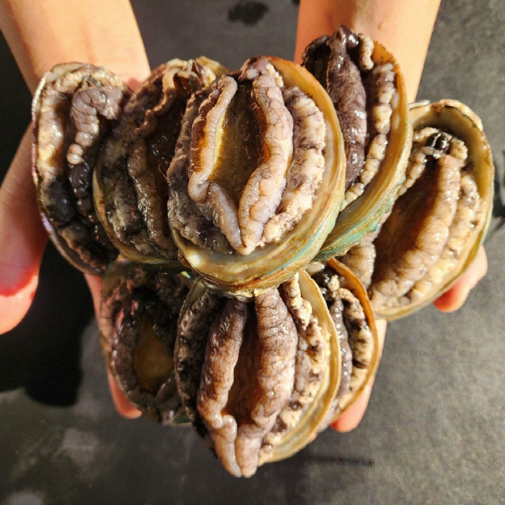 1678855929 thumbnail