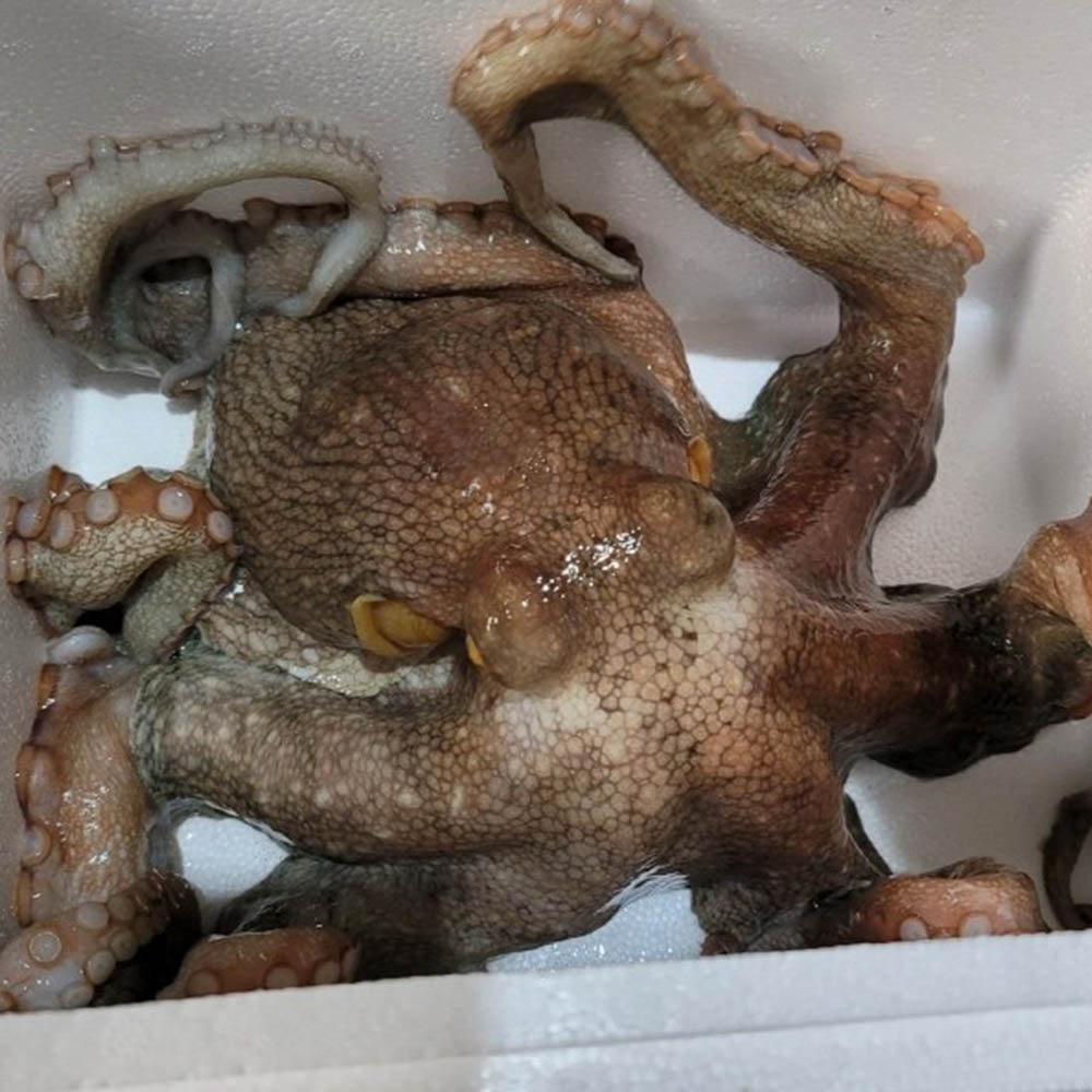 1678855930 thumbnail