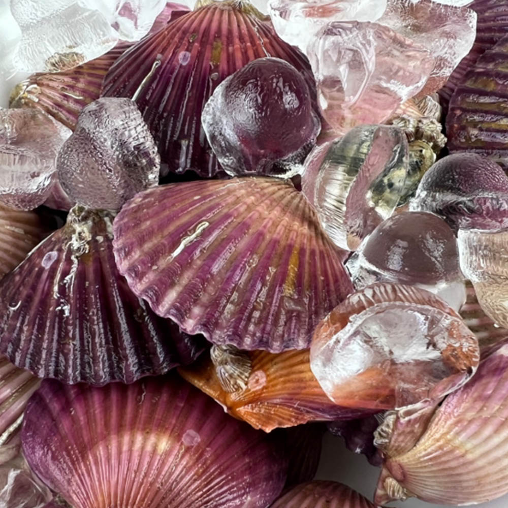 1678855931 thumbnail