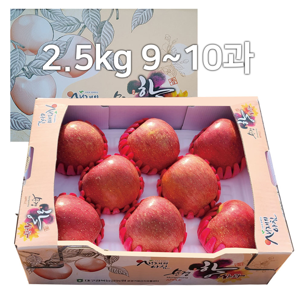 1679019206 thumbnail