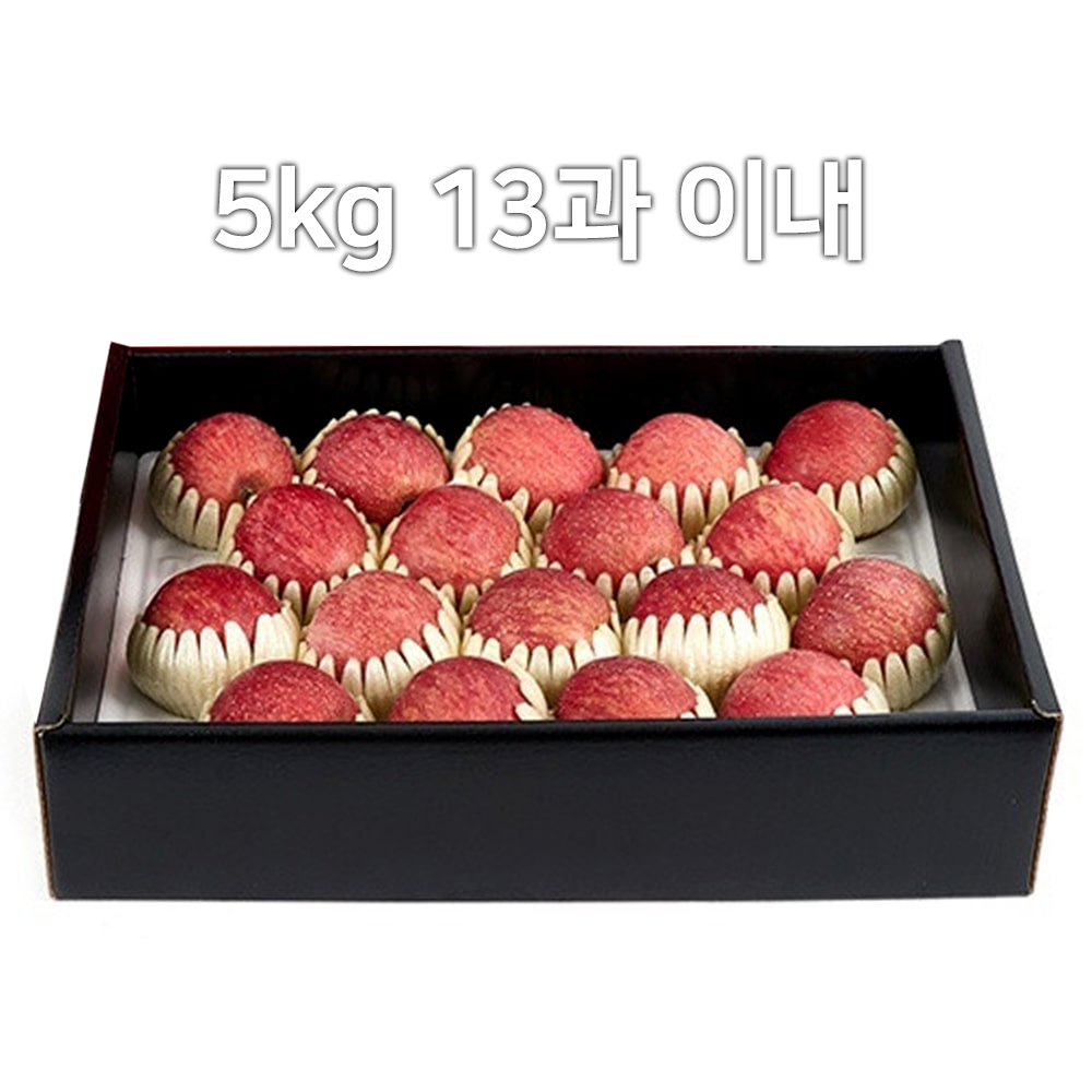 1679019208 thumbnail