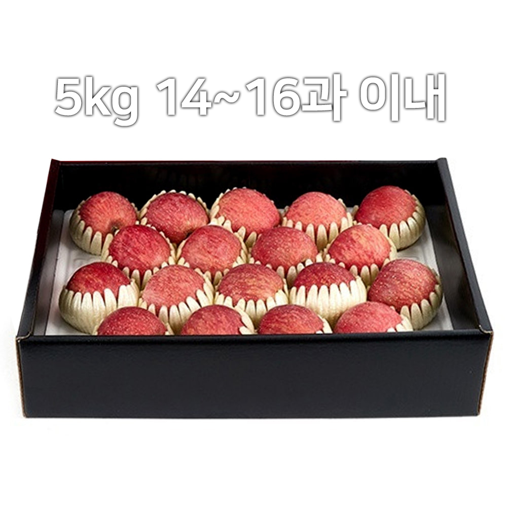 1679019209 thumbnail