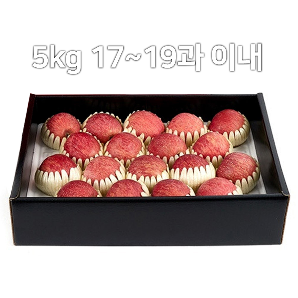 1679019210 thumbnail