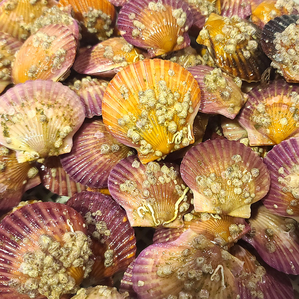 1679019211 thumbnail