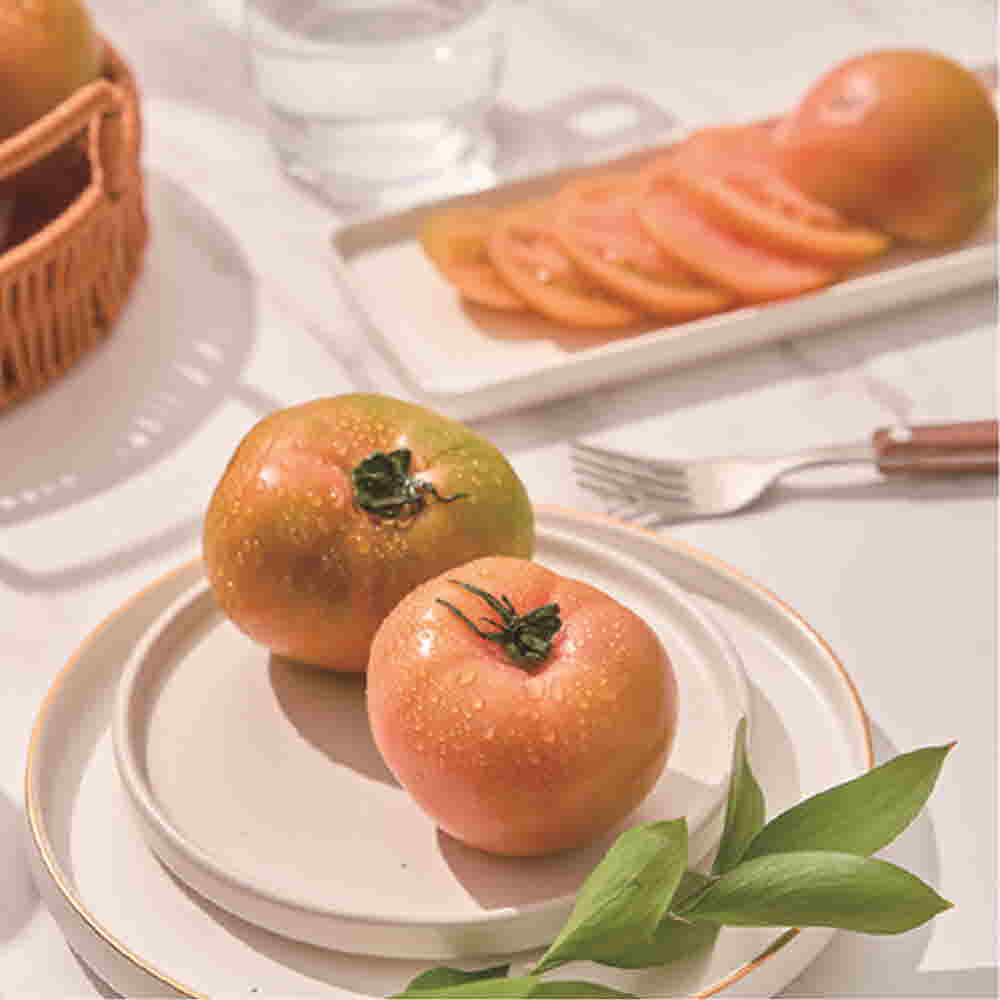 1679292359 thumbnail