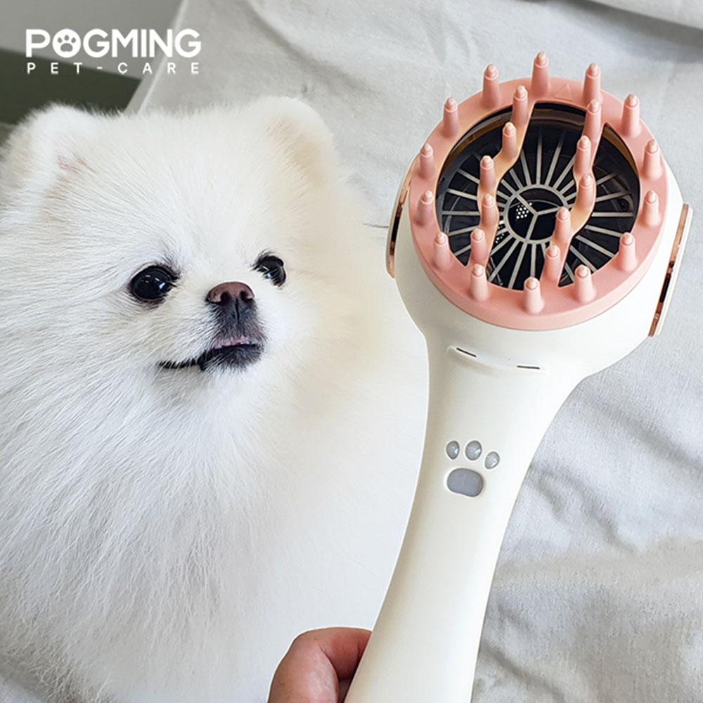 1679300949 thumbnail