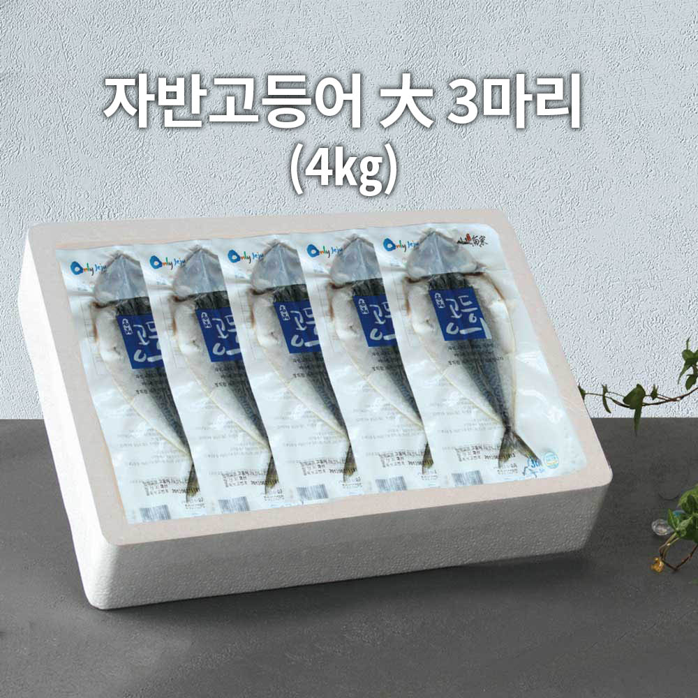 1679451293 thumbnail