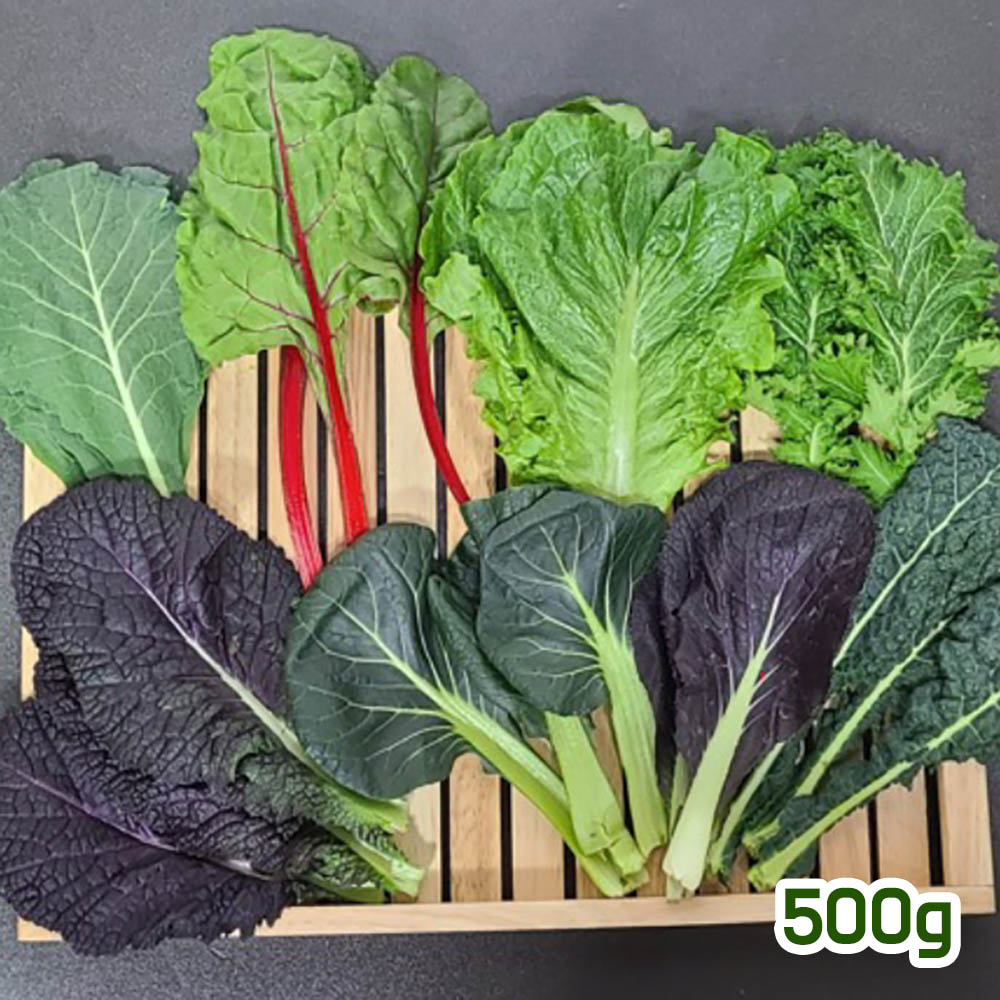 1679621713 thumbnail