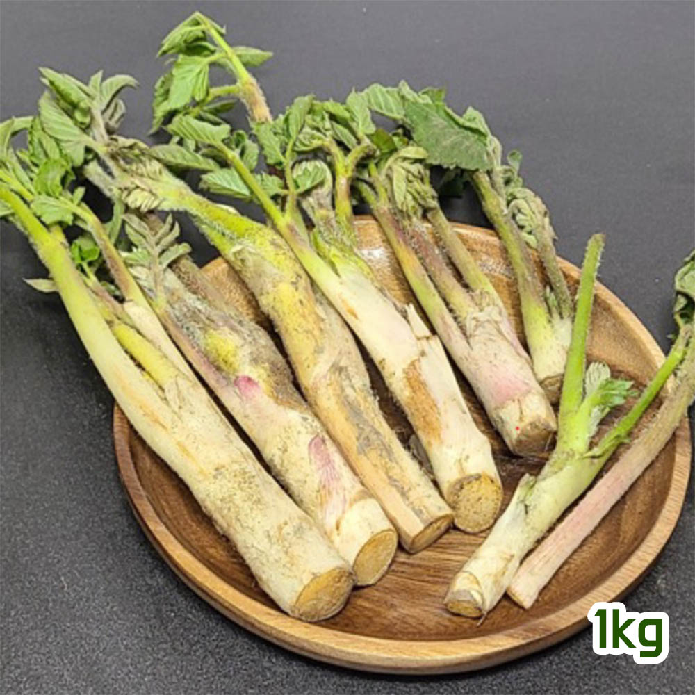 1679621717 thumbnail