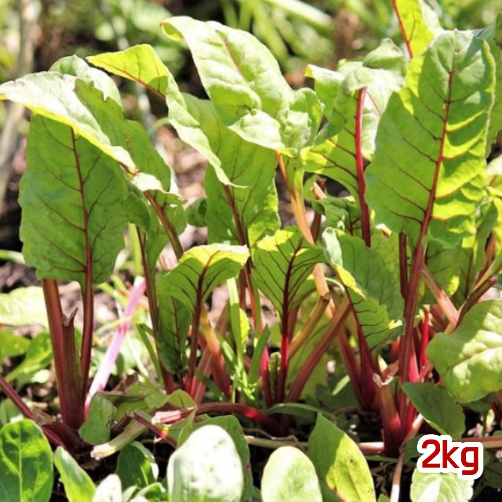 1679621720 thumbnail