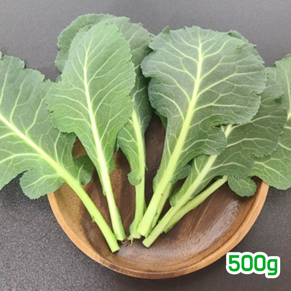 1679621721 thumbnail