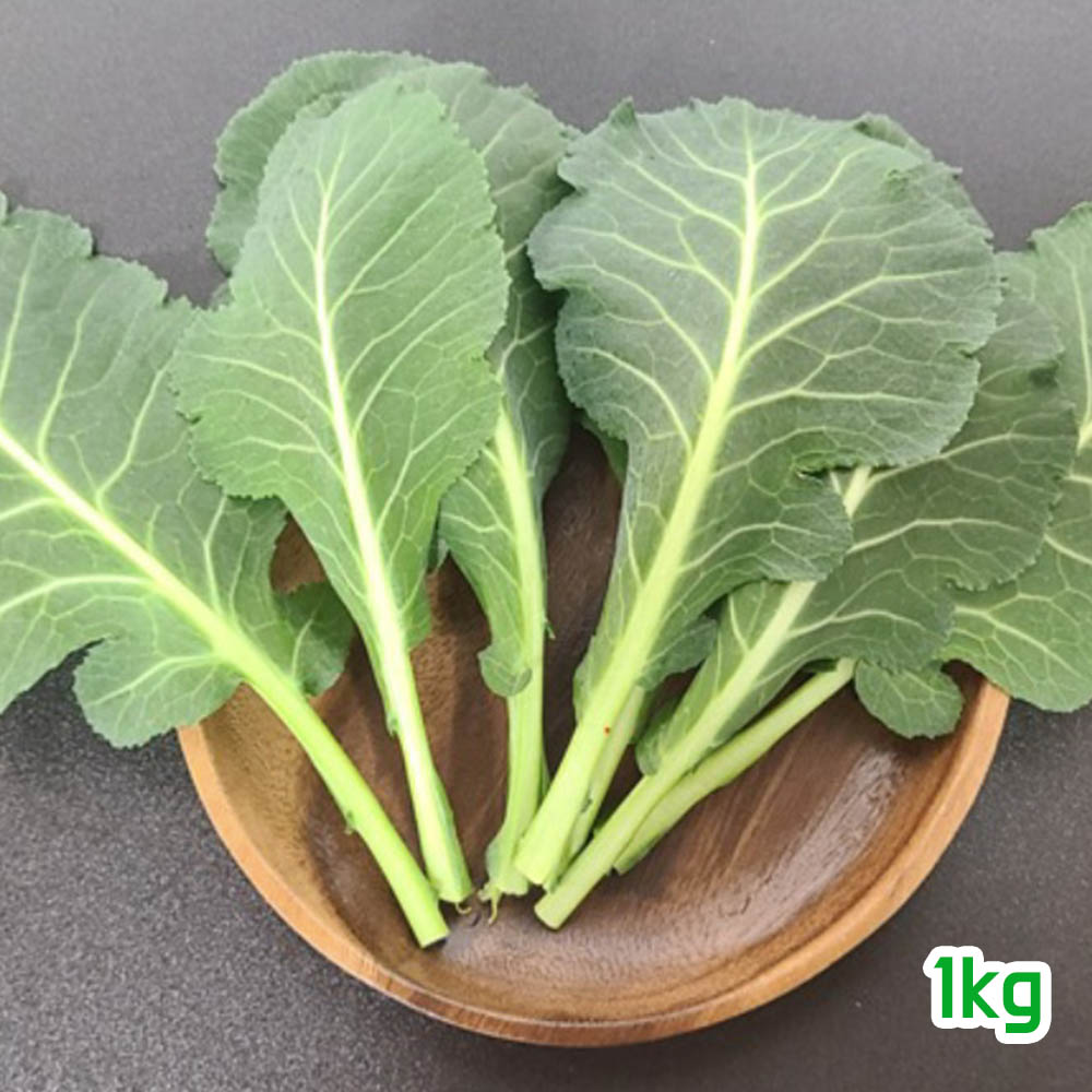 1679621722 thumbnail