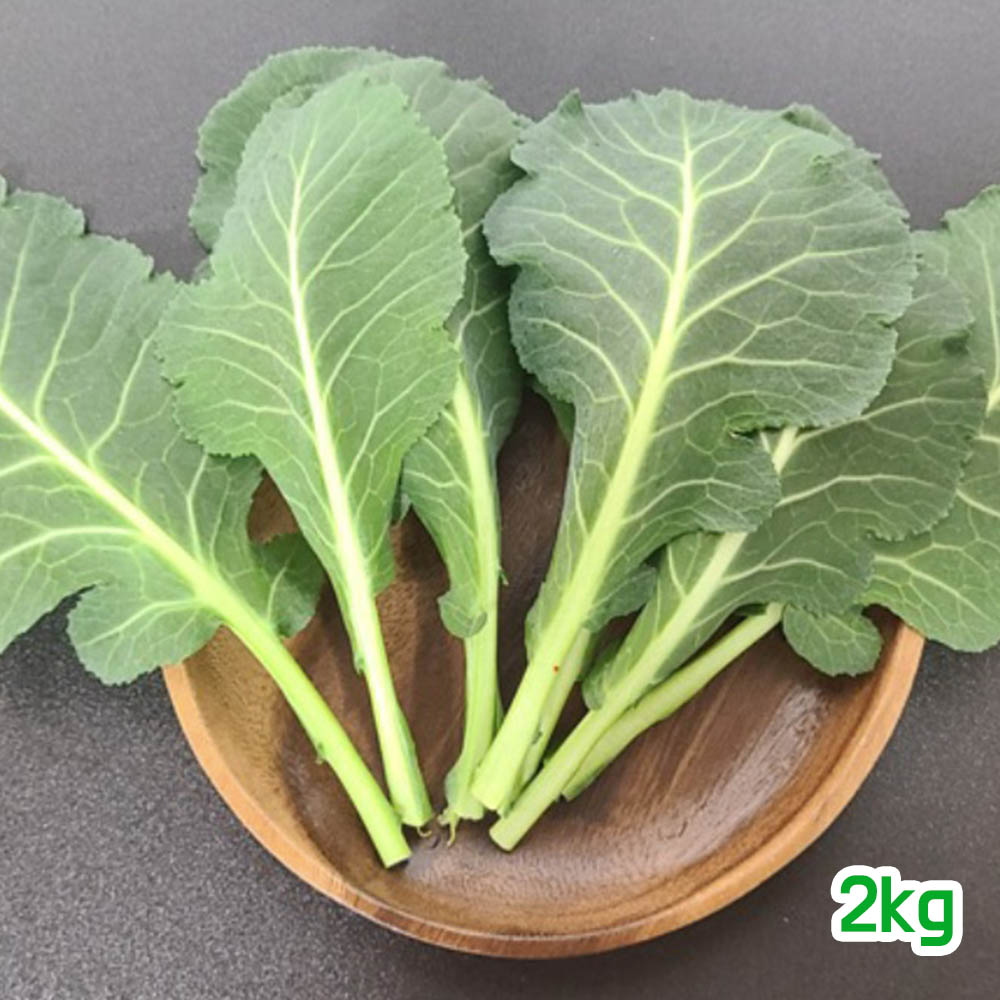 1679621723 thumbnail