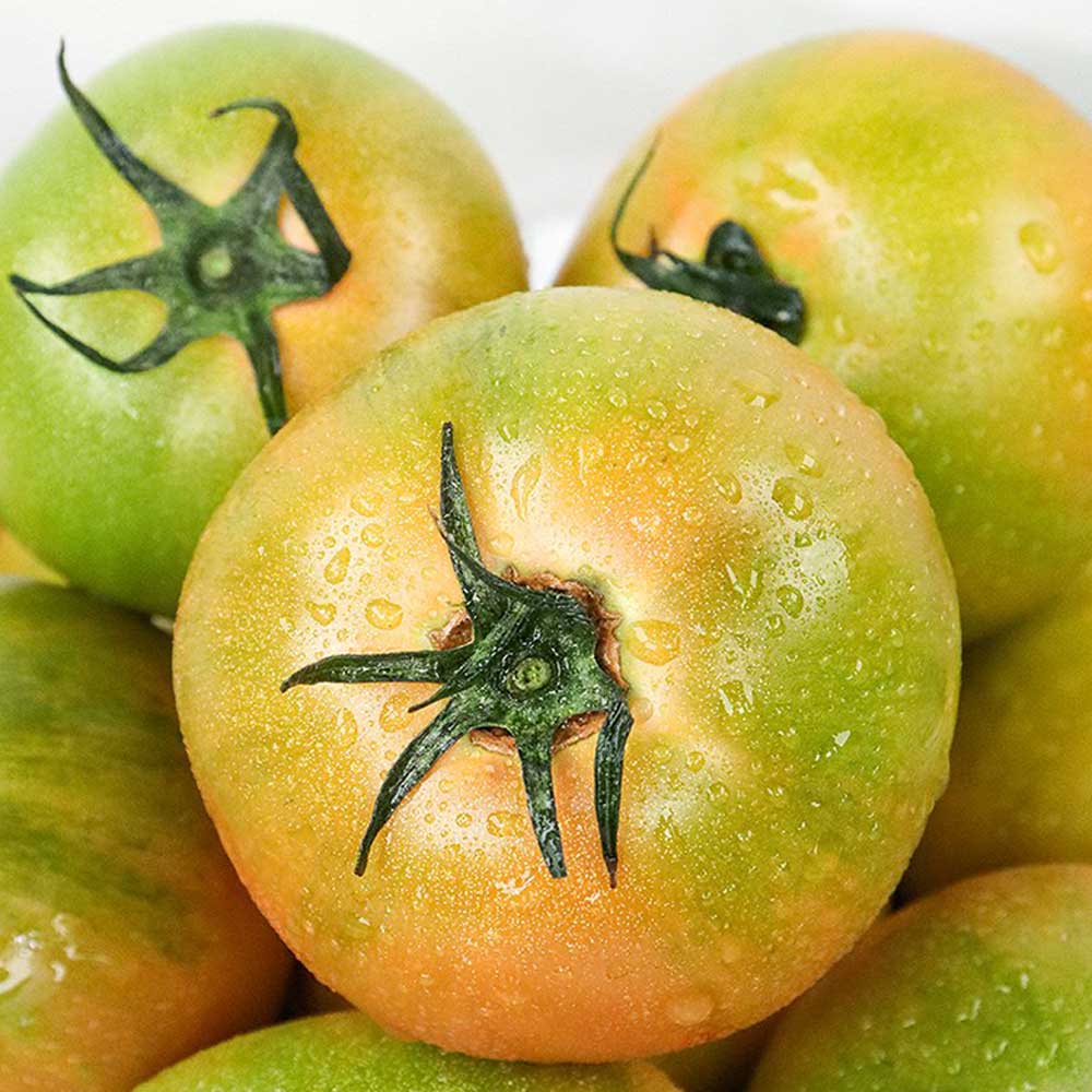 1679631057 thumbnail