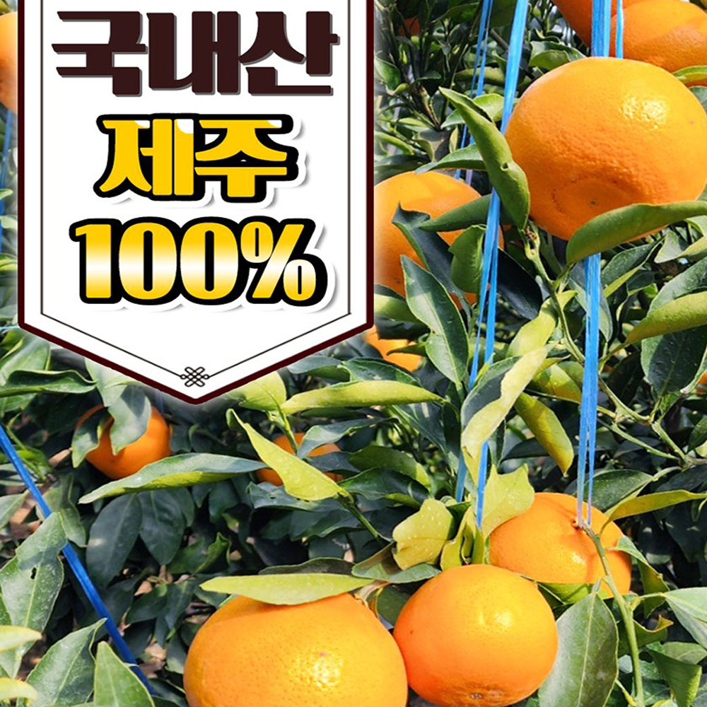 1679631065 thumbnail