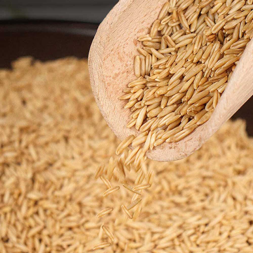 1679631070 thumbnail