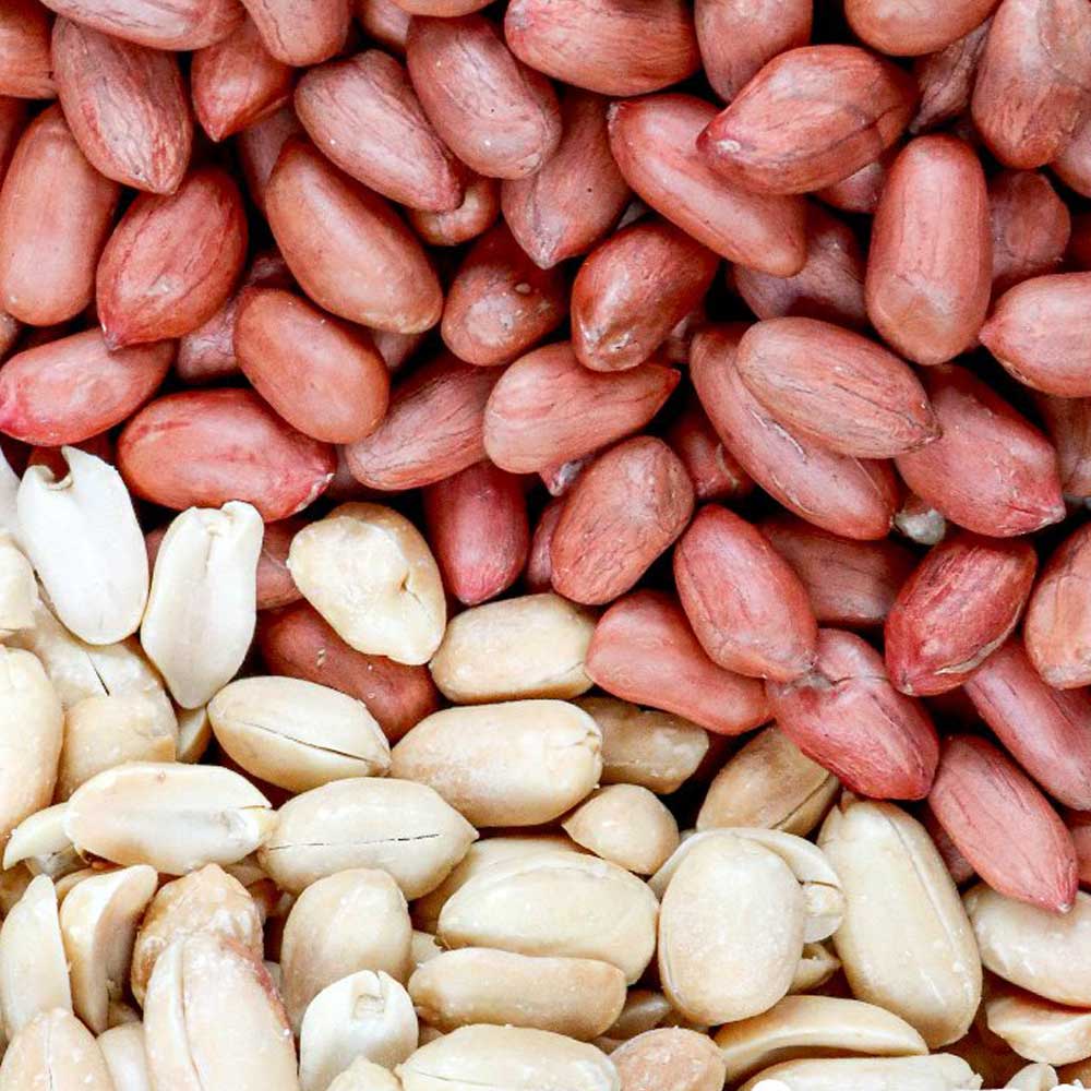 1679631071 thumbnail