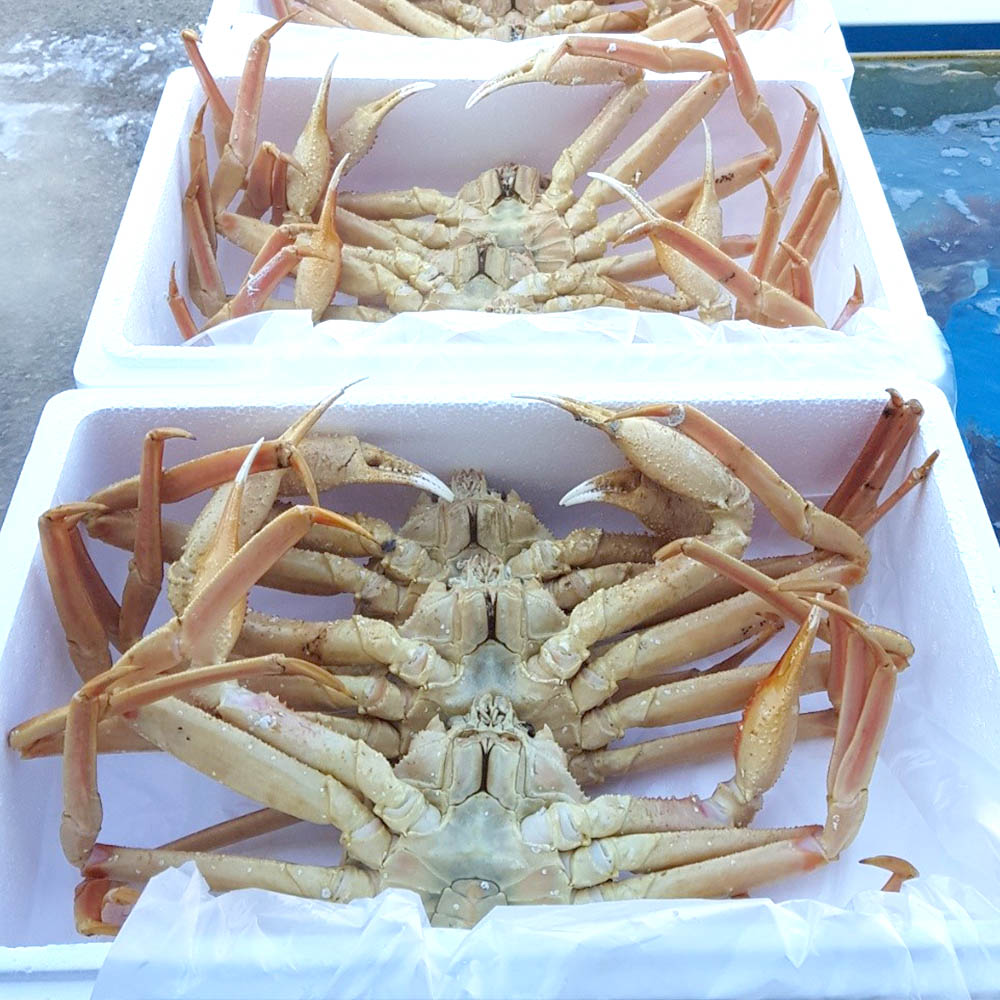 1679966933 thumbnail