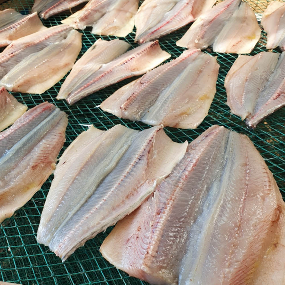 1679966934 thumbnail