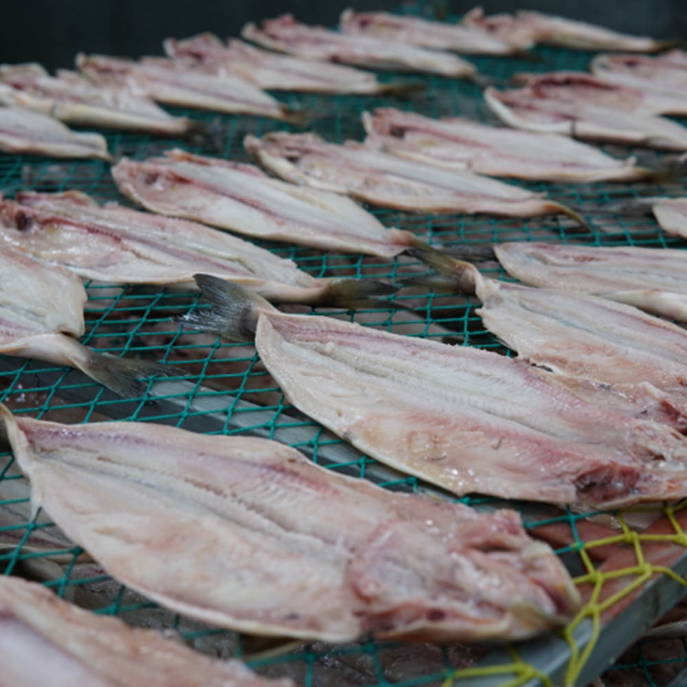 1680230442 thumbnail