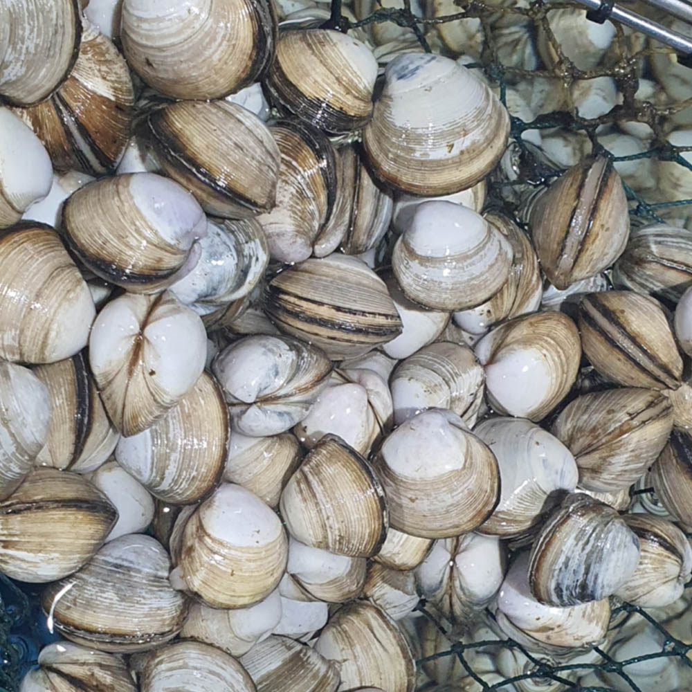 1680230451 thumbnail