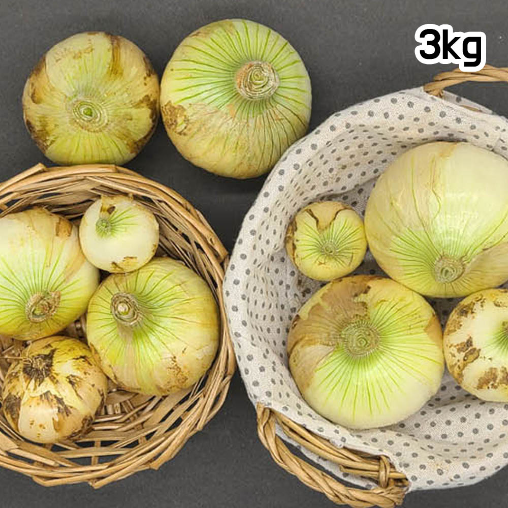 1680230455 thumbnail