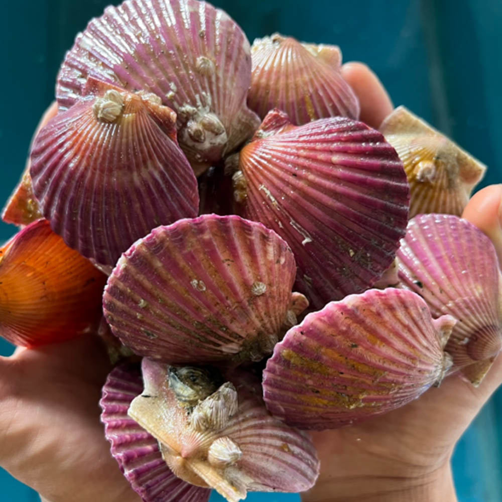 1680745491 thumbnail