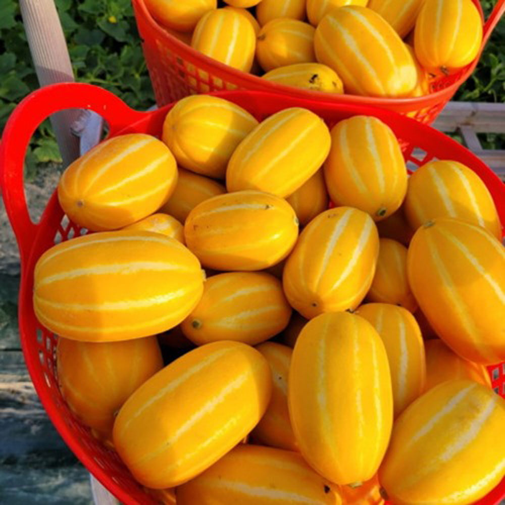 1680833037 thumbnail