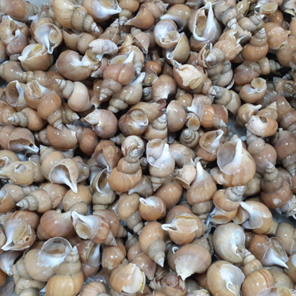 1680836911 thumbnail