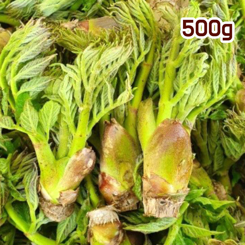 1681179999 thumbnail