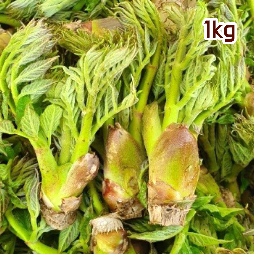 1681180000 thumbnail