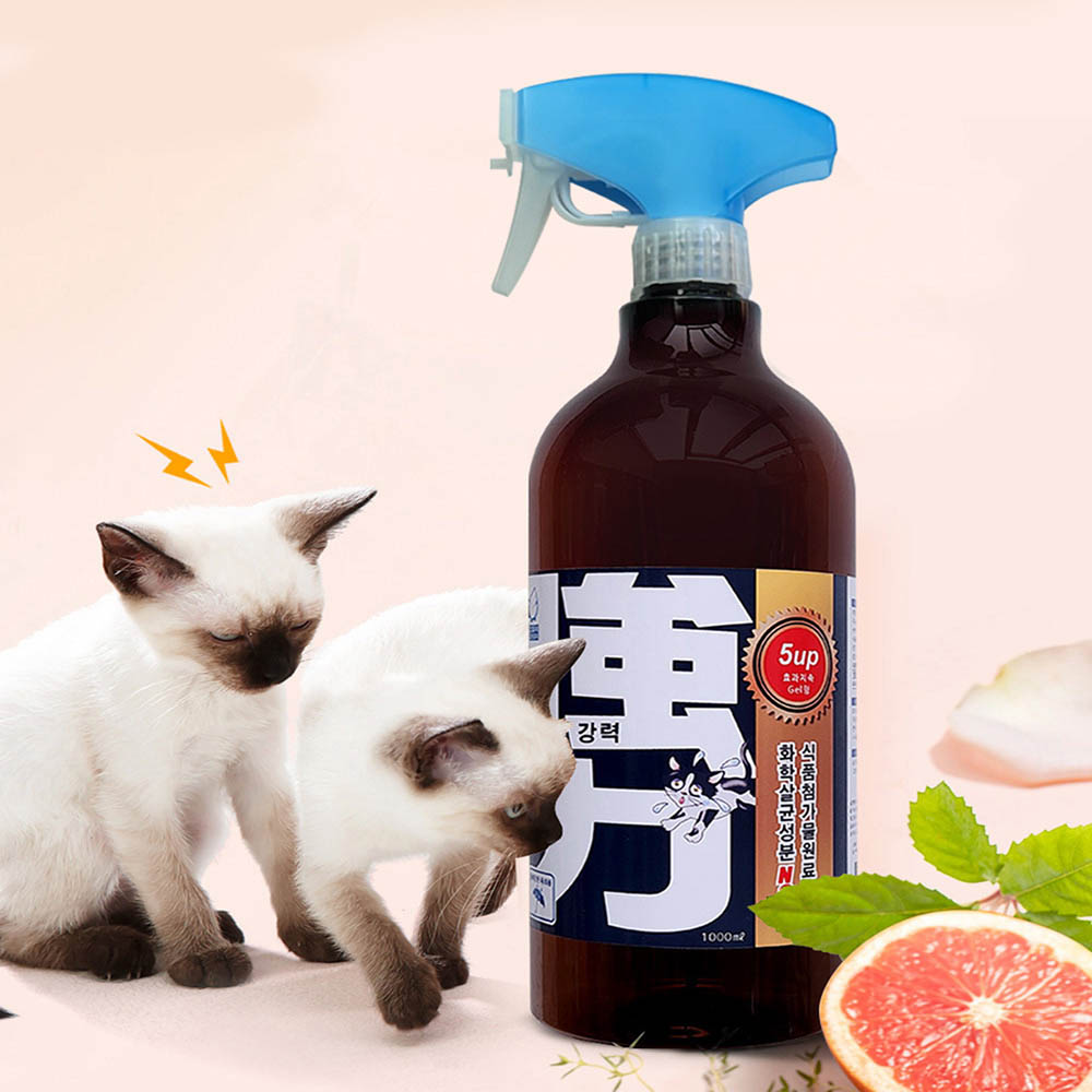 1681194708 thumbnail