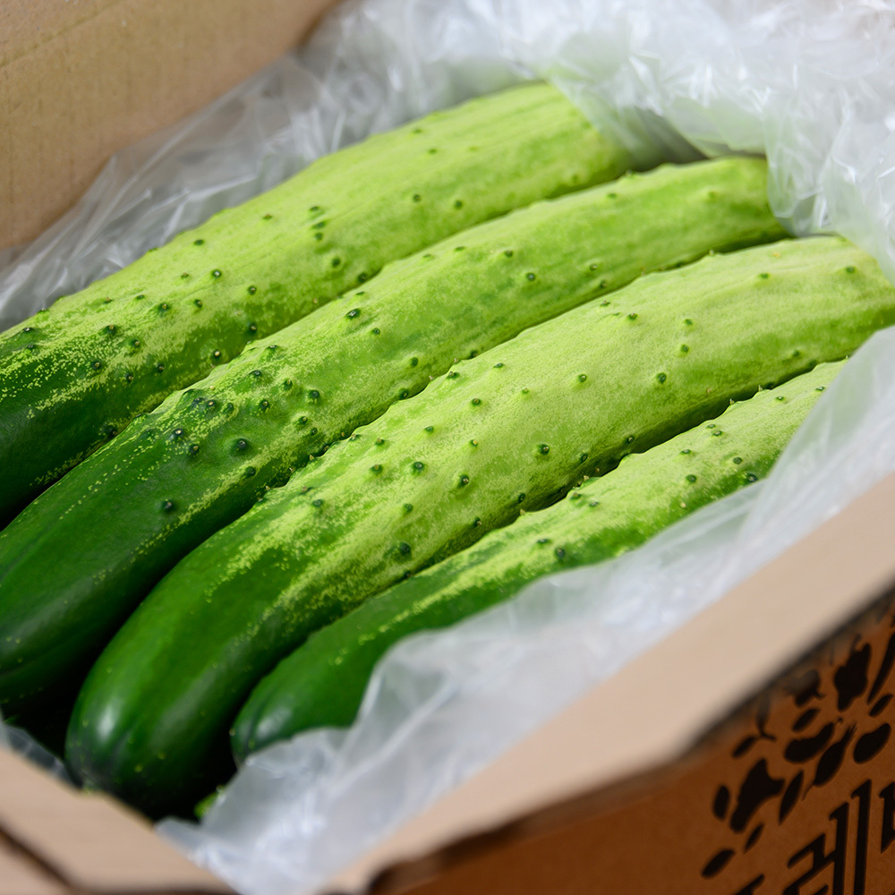 1681194715 thumbnail