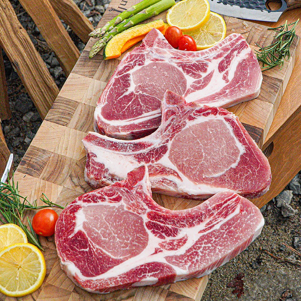 1681196224 thumbnail