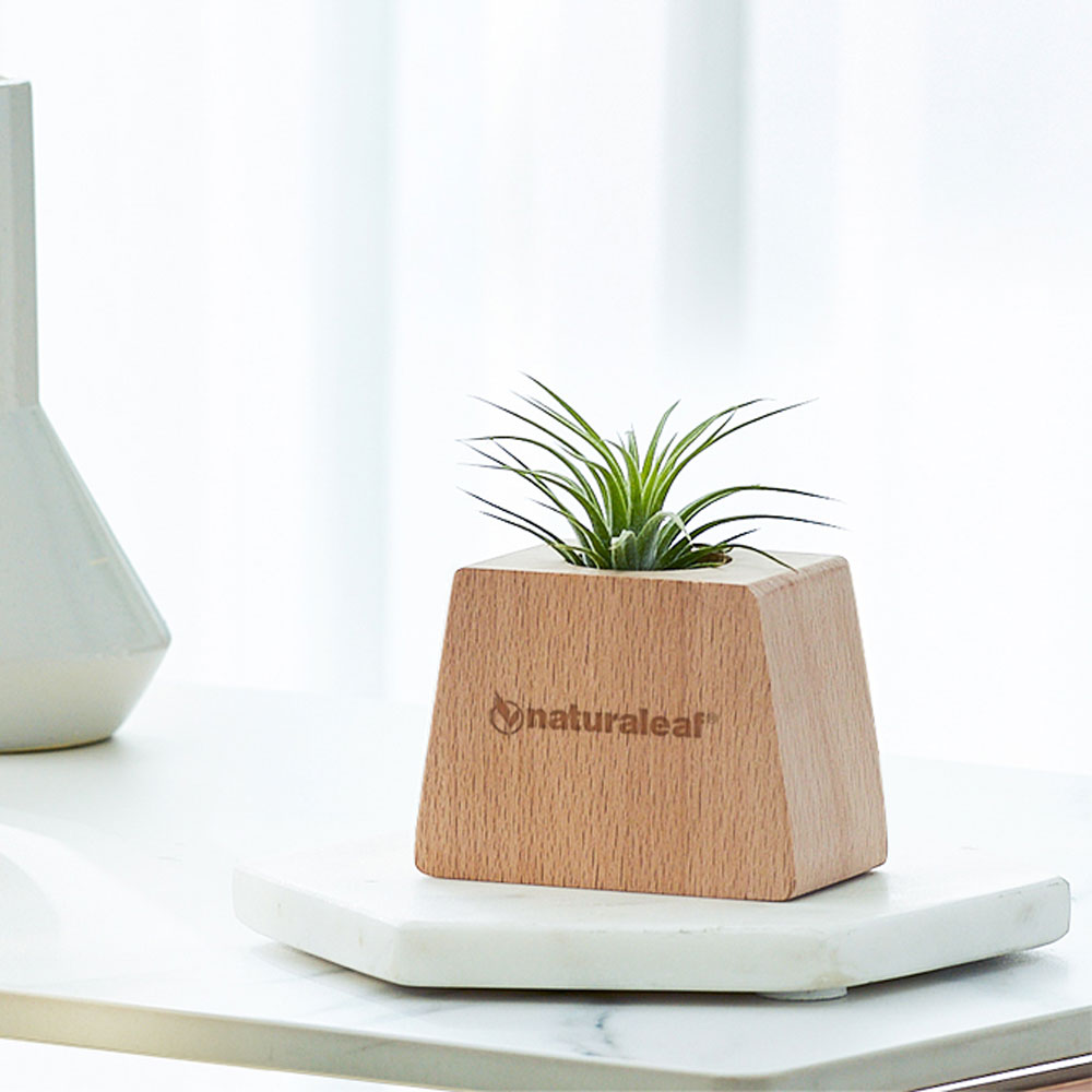 1681263602 thumbnail