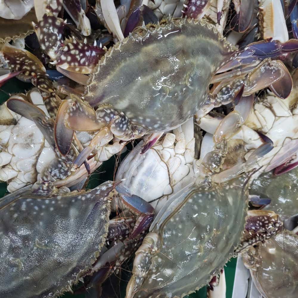 1681346193 thumbnail