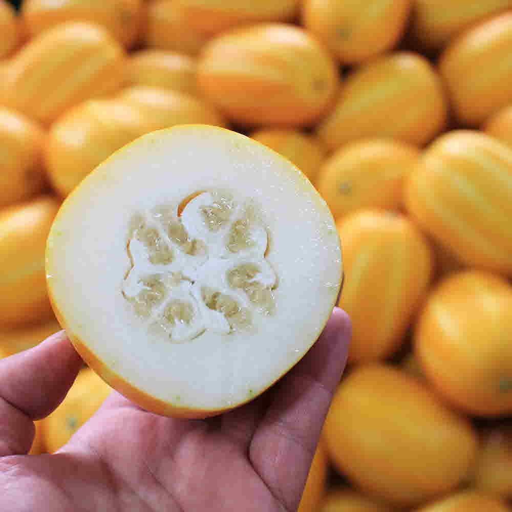 1681373821 thumbnail