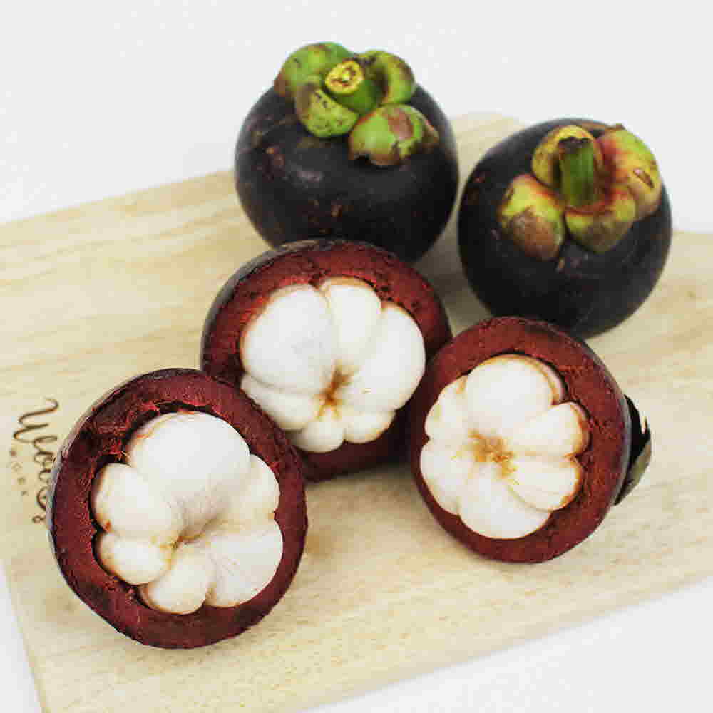 1681373825 thumbnail