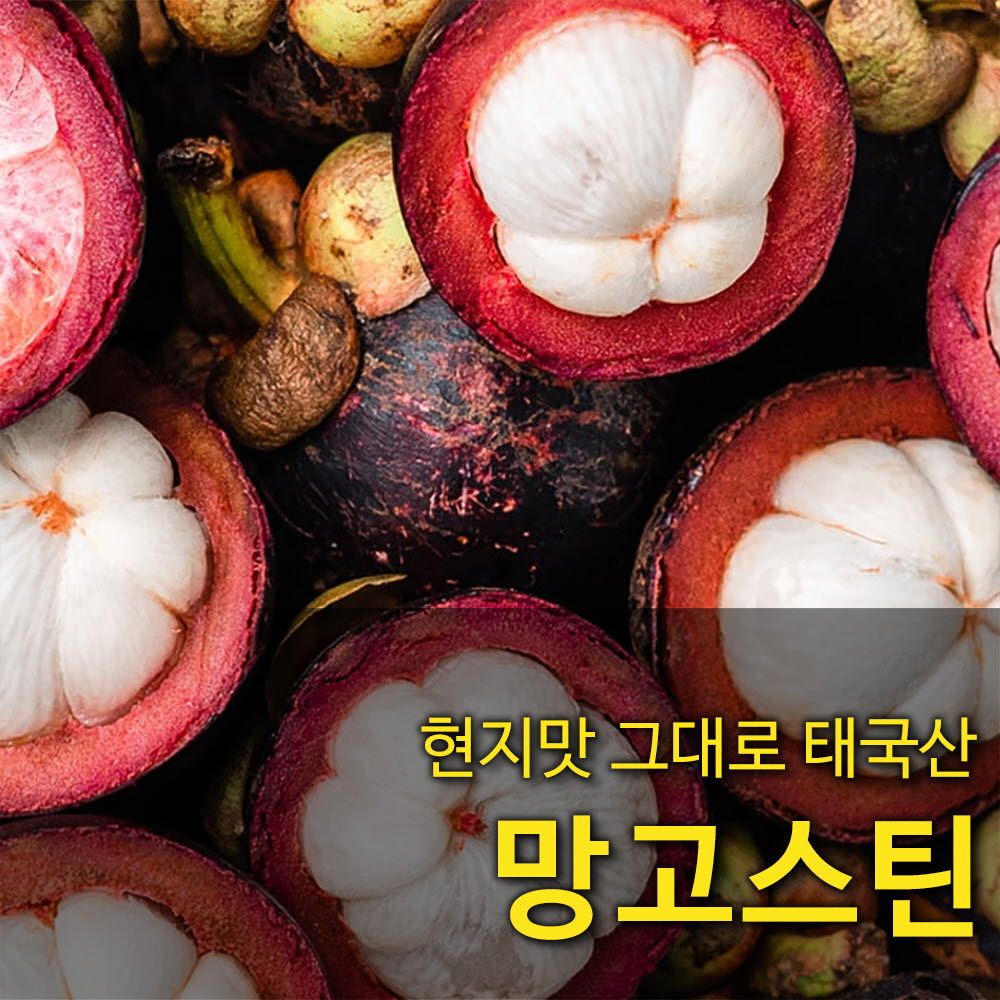 1681800305 thumbnail