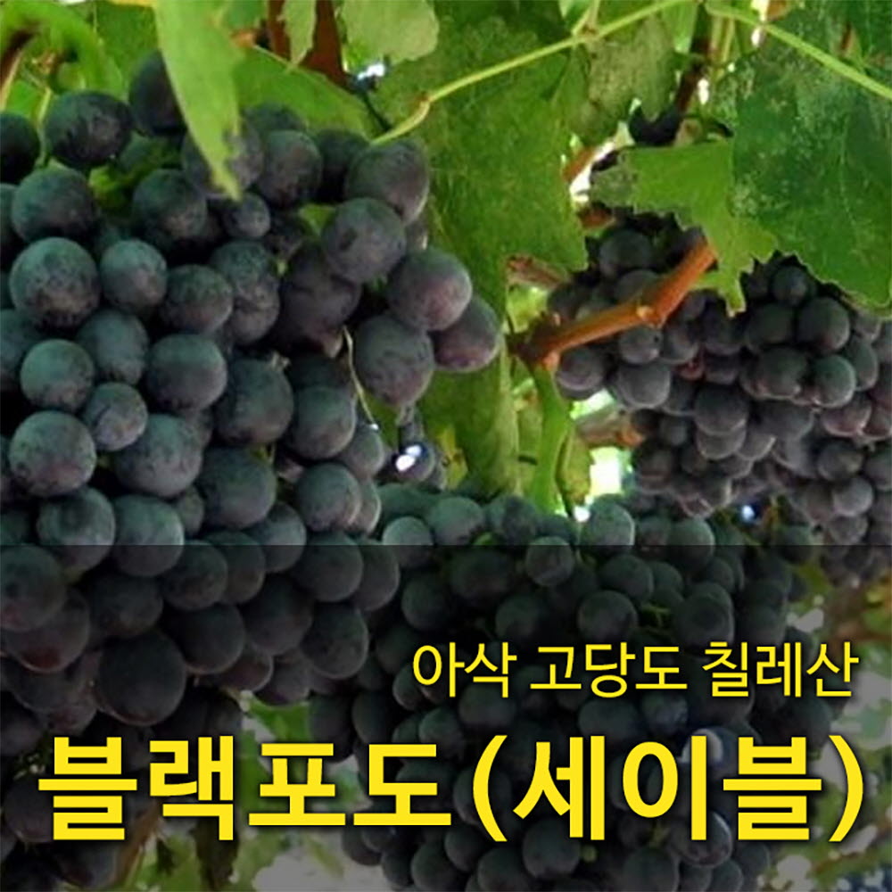 1681800308 thumbnail