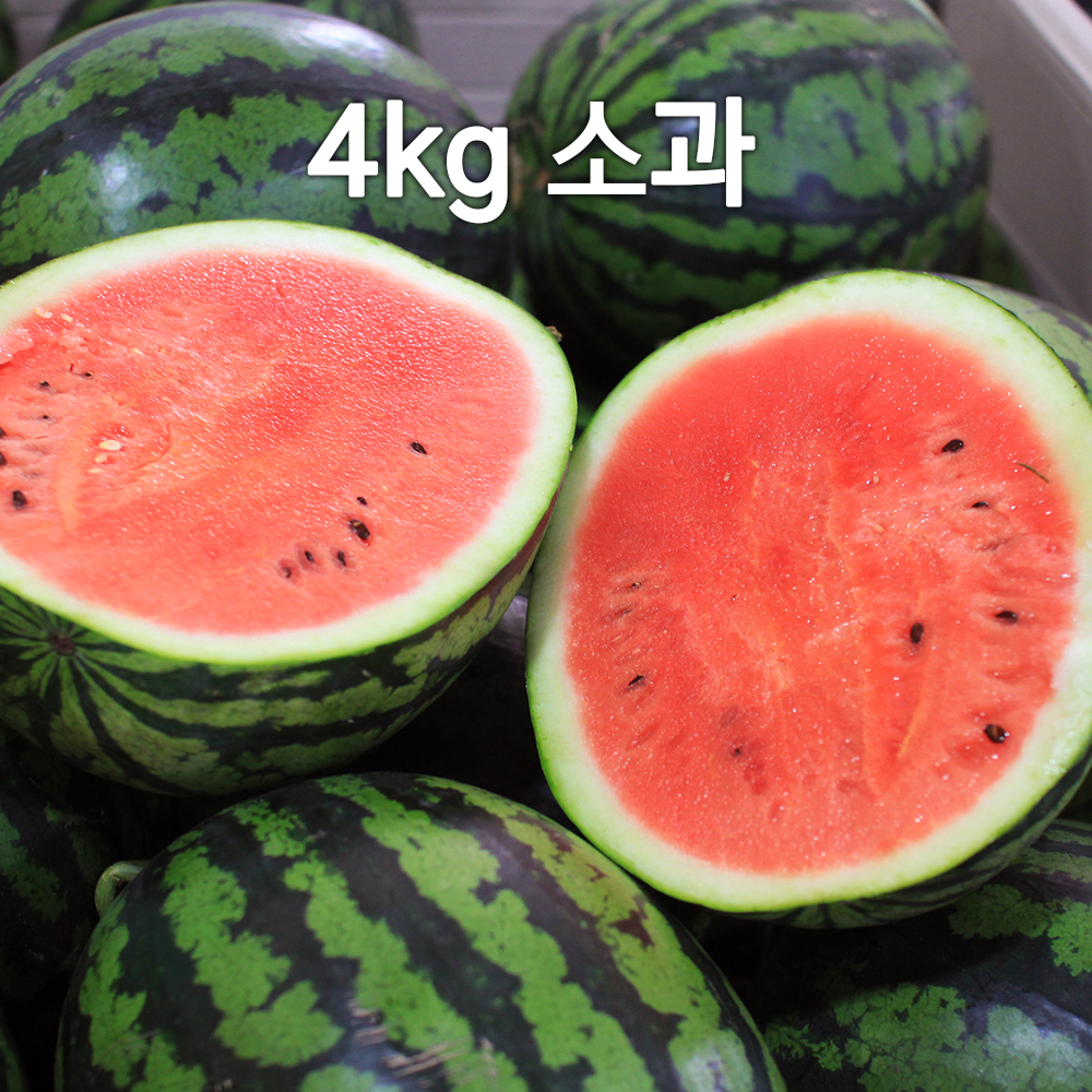 1682309204 thumbnail