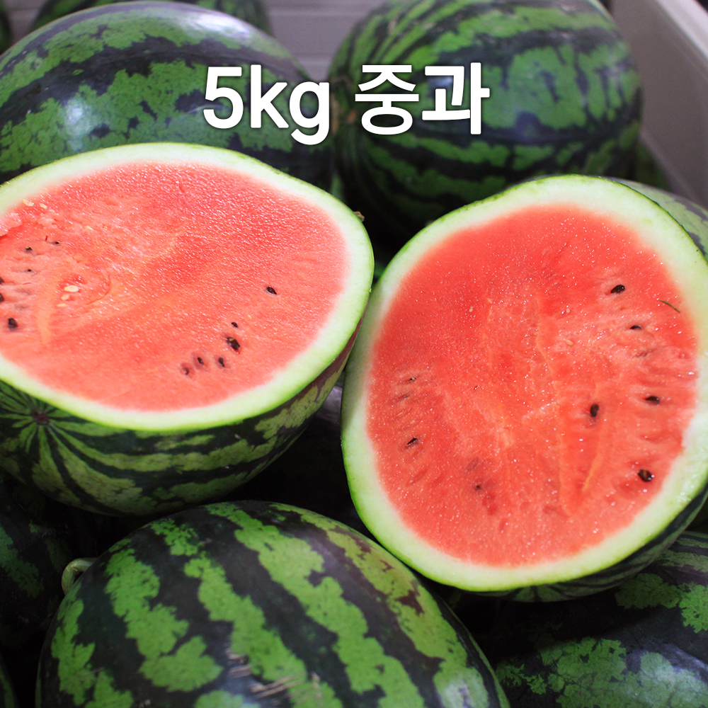 1682309205 thumbnail