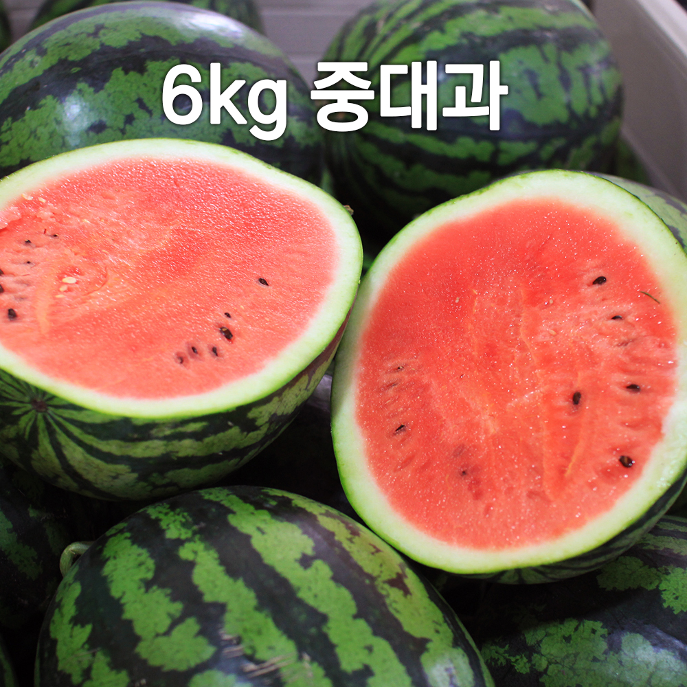 1682309206 thumbnail